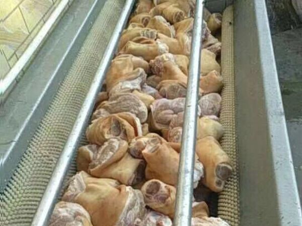 猪肘子星空登录入口效果