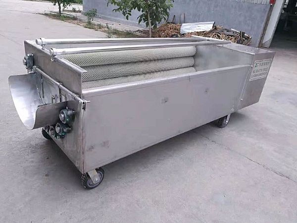 生姜星空登录入口机