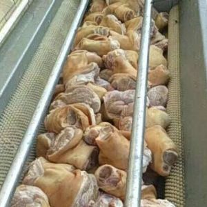 猪肘子星空登录入口效果