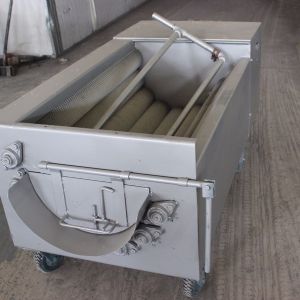 松茸星空登录入口机