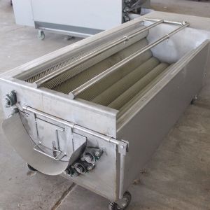 松茸星空登录入口机
