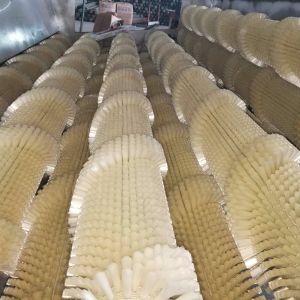 白萝卜星空登录入口机