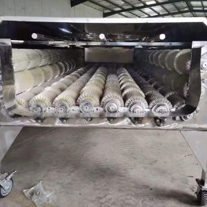 大型果蔬星空登录入口机