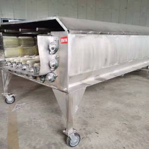 大型果蔬星空登录入口机